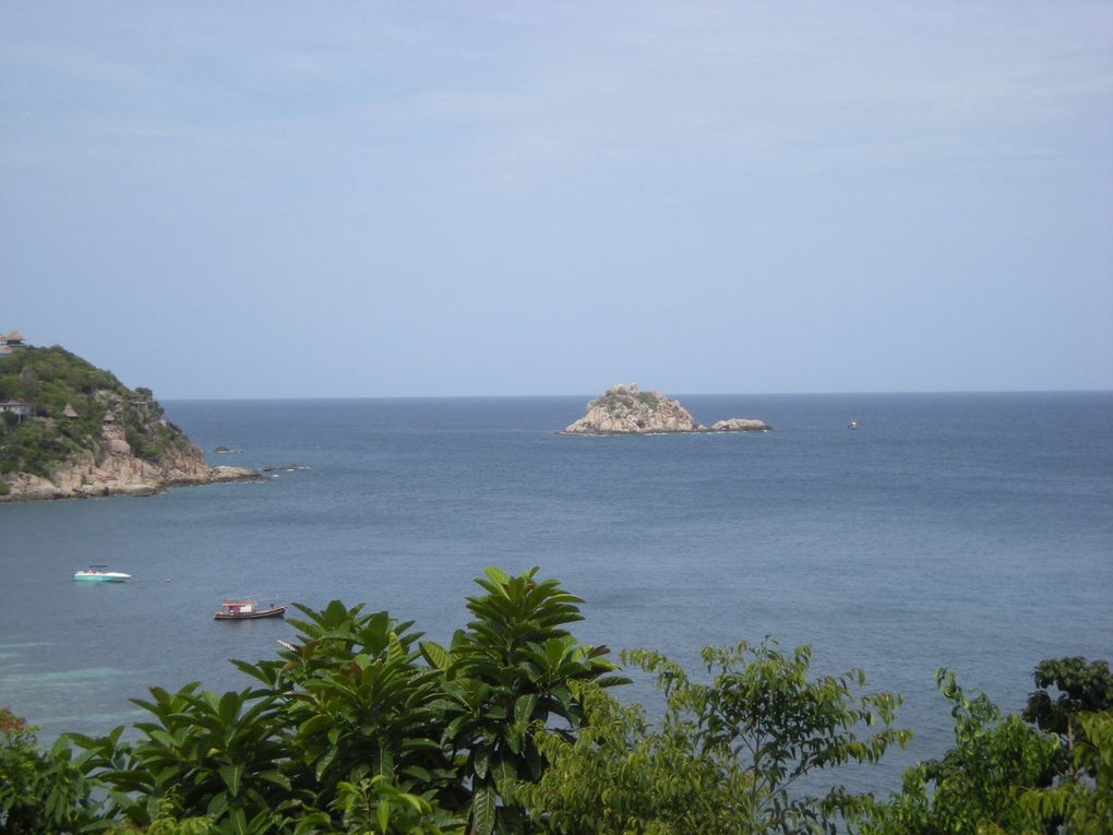 Album - koh-tao