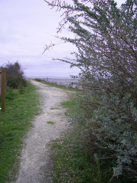 Cette balade à pied se fait à partir du viaduc en prenant le sentier du littoral jusqu'au pont Napoléon (chenal de la Brande). IL vous faudra 2 à 3 heures pour faire cette promenade via la citadelle du château et le moulin de la Côte.