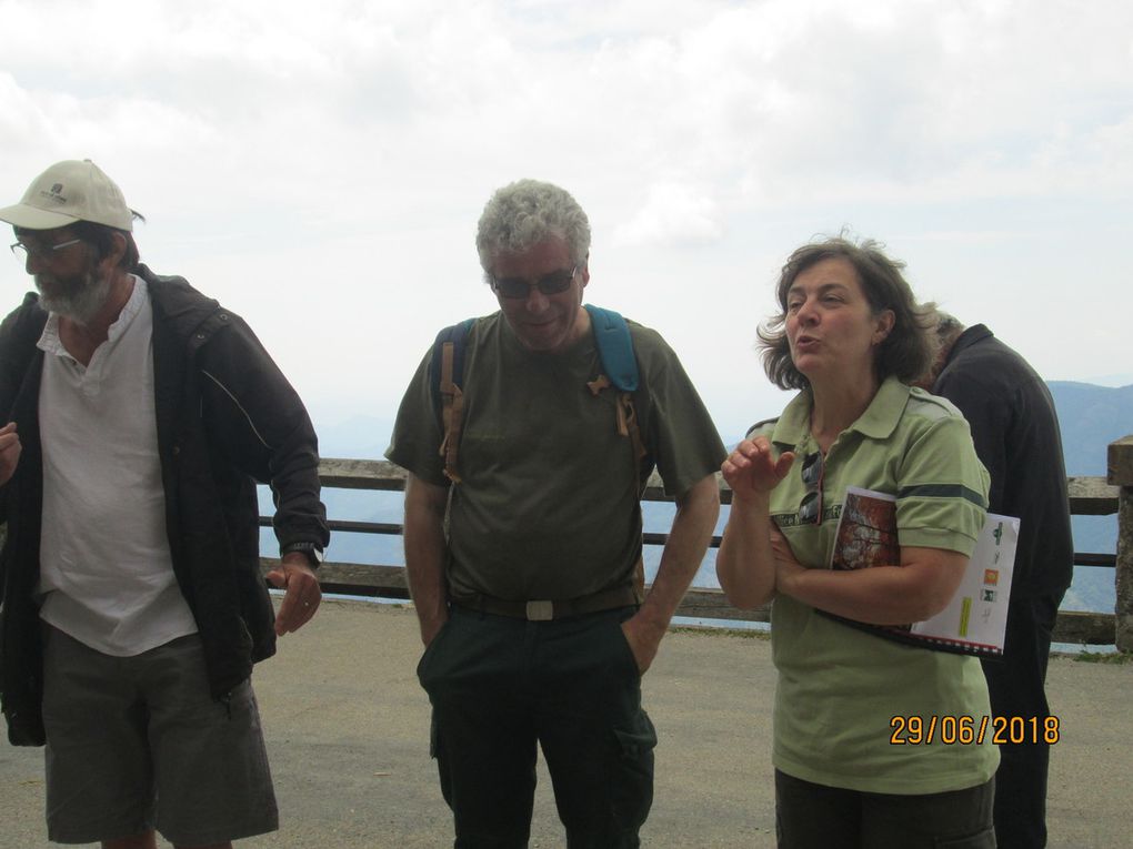 29 juin 2018 visite au Mt Aigoual et bambouseraie d'Anduze.