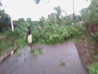 UNE TORNADE S'ABAT SUR FRIA ET CAUSE PLUSIEURS DEGÂTS A LA VILLE !