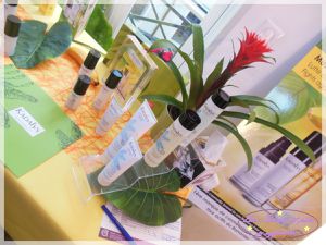 Ambiance Tropicale aux Ateliers des Victoires de la Beauté !