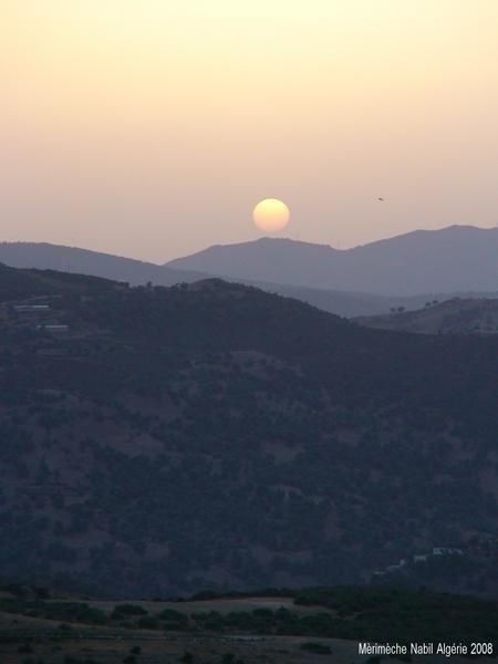 Album - ALGERIE