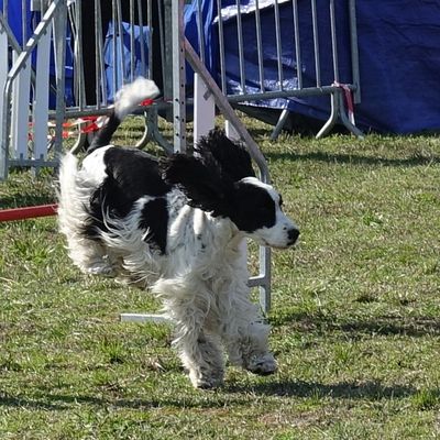 Réponse à la petite énigme bis d'octobre 2020...