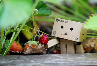 DANBO - Chapitre 5