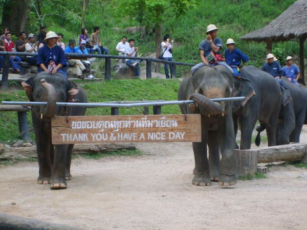 Album - Thailande---Chiang Mai