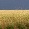 Soir d'orage