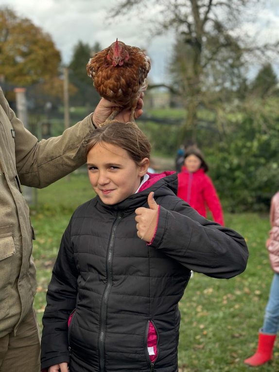 Ce matin nous avons nourri les moutons et cuisiné une recette typique. Cette après midi petite visite des animaux de la ferme. Les oiseaux  Et ensuite fabrication d’un attrape rêves et dégustation de nos rabottes ( spécialité ardennaise )