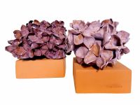 Série Hydrangea,  Argile rouge, engobes, émail  