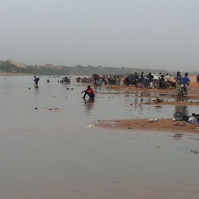 Pollution par les sacs plastiques aux abords du fleuve Niger