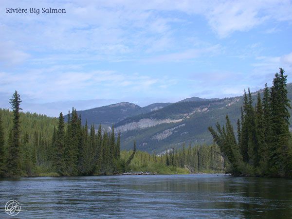 Été 2008 : Rivières Big Salmon et Yukon