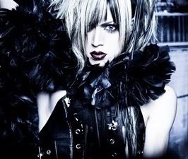 [News] DIAURA - New look for &quot;FOCUS&quot;