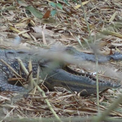Ghana - Tagebucheintrag vom 26.02.2018