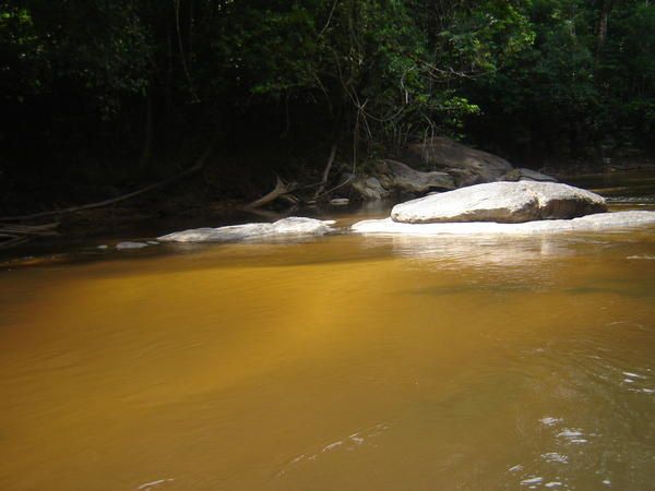 Album - la-guyane