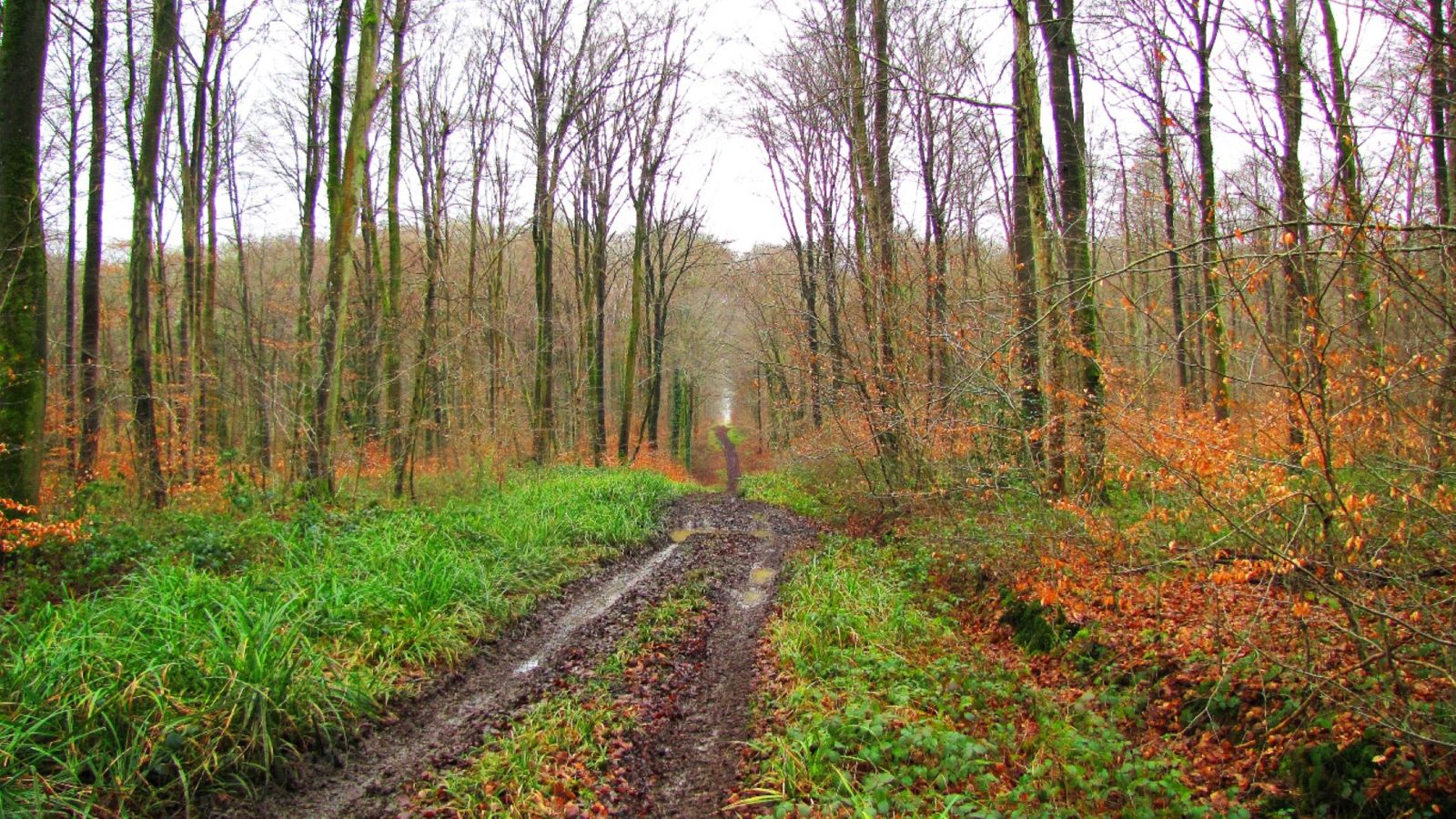 la Route Droite