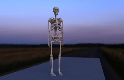 Squelette 3D