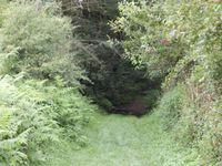 Sortir de St Benoit par la rue de la Goutte Panière. Au milieu de la descente, dans le virage, prendre le chemin sur votre droite qui mène à l'étang