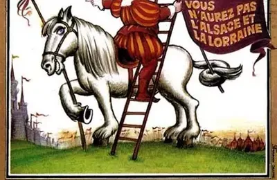 Réforme à venir du système d'indemnisation des dégâts de grands gibiers, non, vous ne devrez pas avoir l'Alsace et la Lorraine,