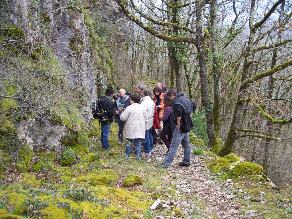 Quelques adhérents nous proposent des balades:avec Jean-Michel Gaudron, naturaliste, des balades découverte, avec Laurent Huchot des marches plus sportives, Christine Ducoux, Quince Graveson, Marie-Ange Dreyer, balade et patrimoine... presque tous