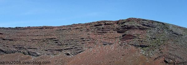 Quelques photos d'un bref passage sur l'île de la Réunion: fleurs, insectes, oiseaux, tortues et lave