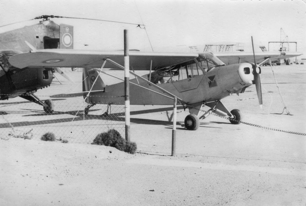 Album - Piper-L-18---L-21-Tripacer