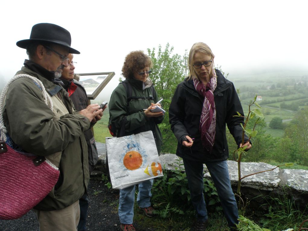 Journée &quot;cueillette et cuisine&quot; du 3 juin 2016