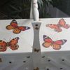 Etape 2- "Les papillons"