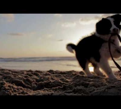 Eveil Tv - Documentaires