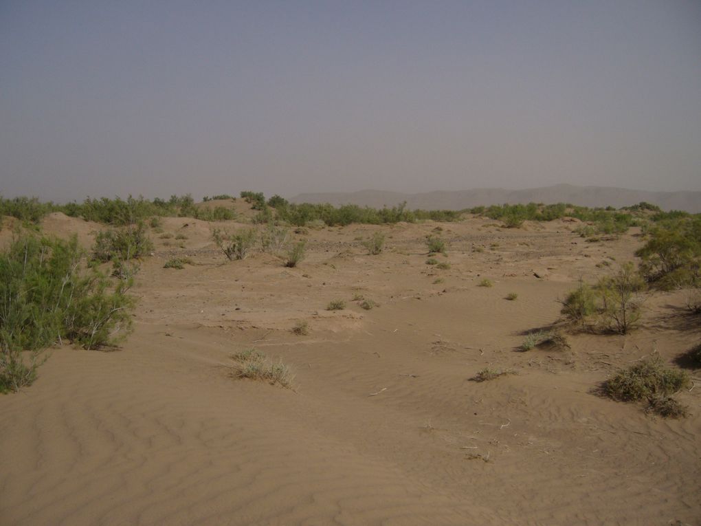 Trekking dans la vallée du Drâa au sud du Maroc. 