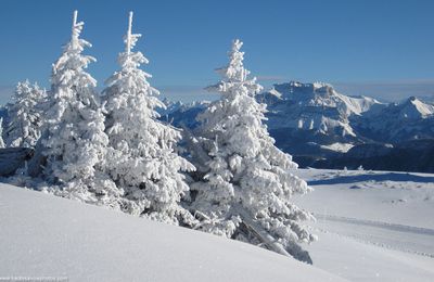 acrostiches avec le mot HIVER