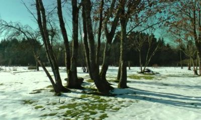 Mais oui l'Ardenne est belle en hiver !