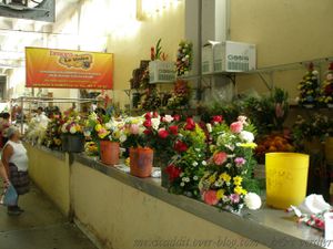 Poisson, fleurs (Campeche), confiseries (San Critobal), boleo (Campeche), le marché se divise en secteurs