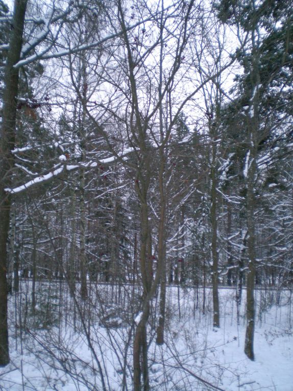 les photos un peu partout où je me ballade, de la vue de ma chambre à des paysages plus lointain ...