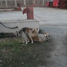 Marre du Doggie style ?