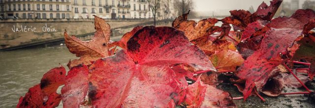 L'automne à Paris 