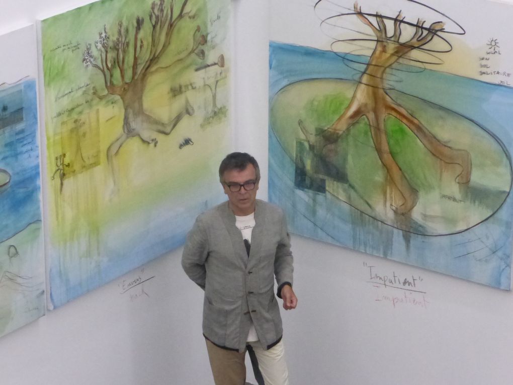 Vues de l'exposition 2716,43795 m² FABRICE HYBER, CRAC Languedoc-Roussillon, Sète © Le Curieux des arts Gilles Kraemer, présentation presse, 26 juin 2015 