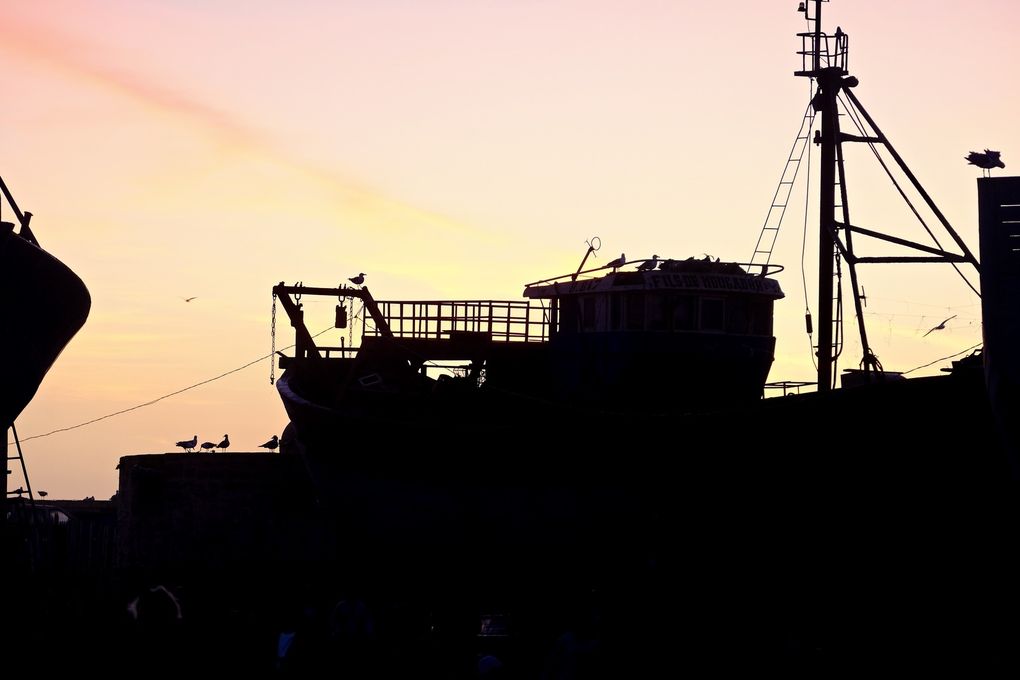Les chalutiers ornent le port comme de gros mammouths....surs de leur force, discrets et ancrés, ils sont à l'instar des barques, réparés, bichonnés, bricolés encore et toujours, ils sont la puissance du port, son étendard et sa fierté...