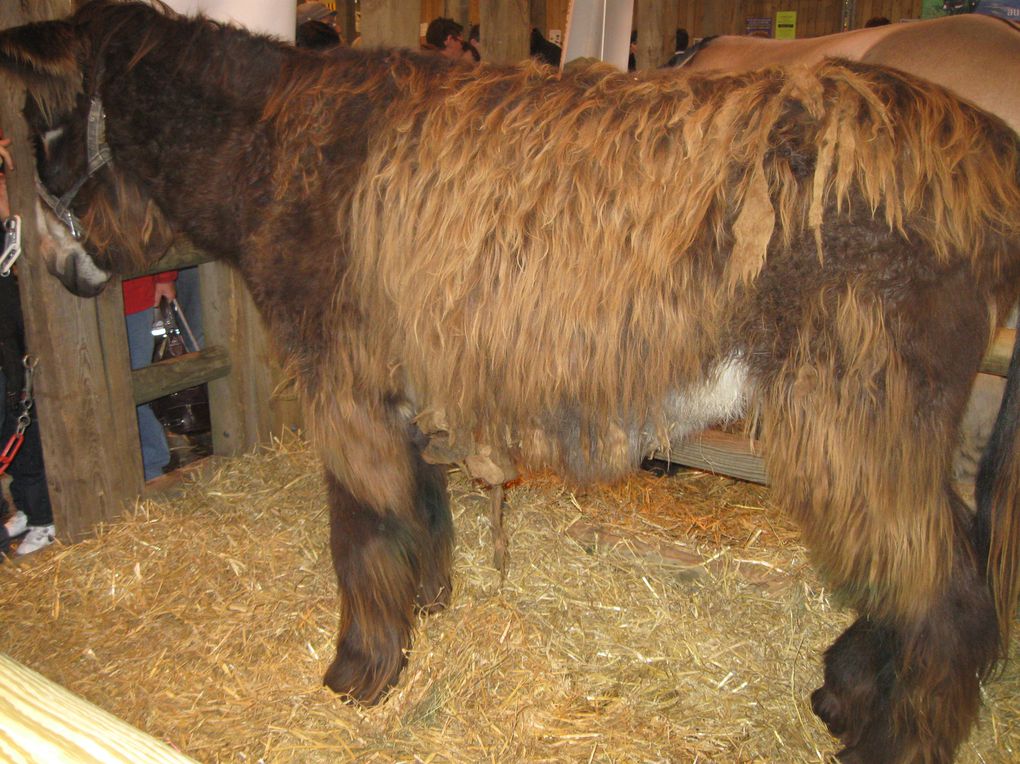 Salon de l'Agriculture 2011