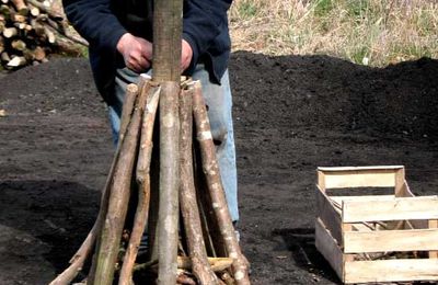 Le charbon de bois... N°1. Nibelle - Loiret.