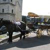 Balade en calèche en pays d'Argentan