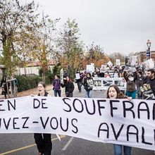 Manifestation contre le gavage à Samatan (Gers) le 26 novembre 2012