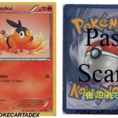 SERIE/NOIR&amp;BLANC/NOIR&amp;BLANC/11-20/16/114 - pokecartadex.over-blog.com