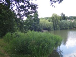 Piquenique au bord de l'Etang de l'Ursine