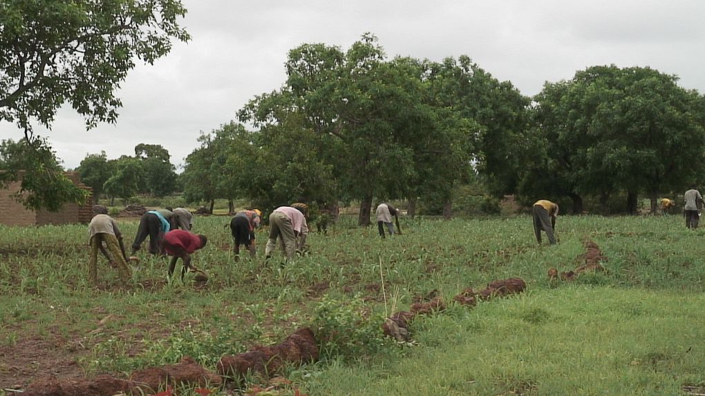 2000 habitants, deux pompes mécaniques et une seule école... A une 1h30 de Réo, dans le hameau de Didyr, le village cherche la voie de son développement. Premier impératif: l'eau...