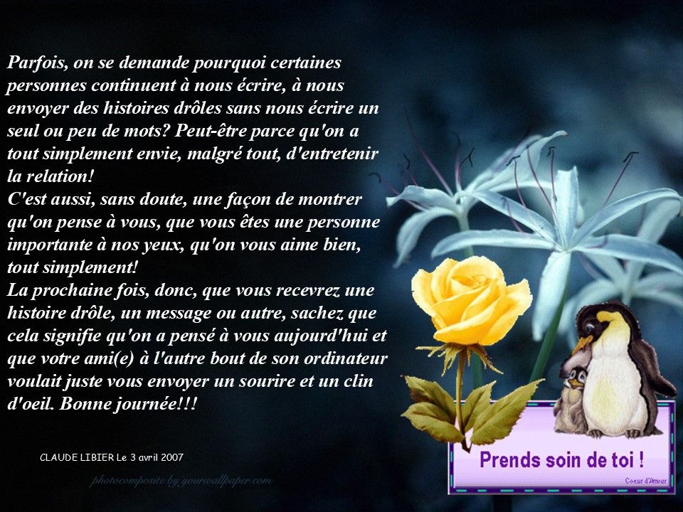 Divers - Mettre un peu de sens à la vie