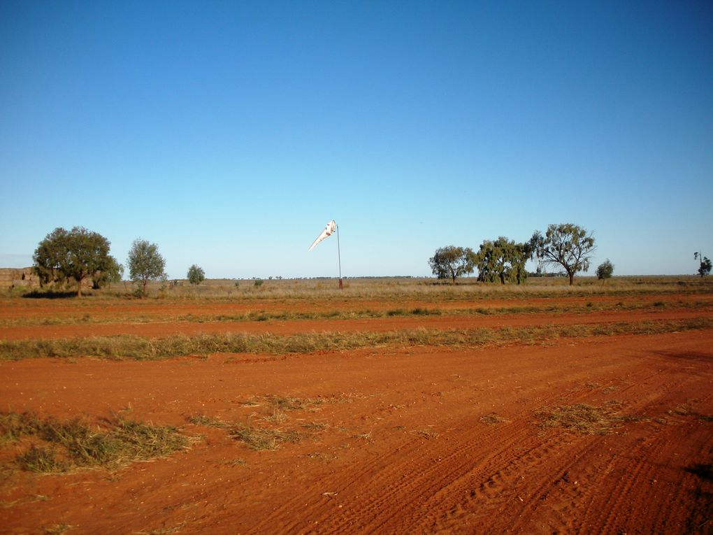 Cette fois, c'est au milieu des moutons et des chiens que je fais un arrêt, en plein outback!