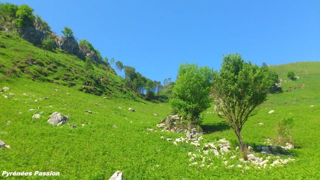 1ère étape de transhumance pour un mois (de mi-mai à mi-juin), avant de revenir cet automne