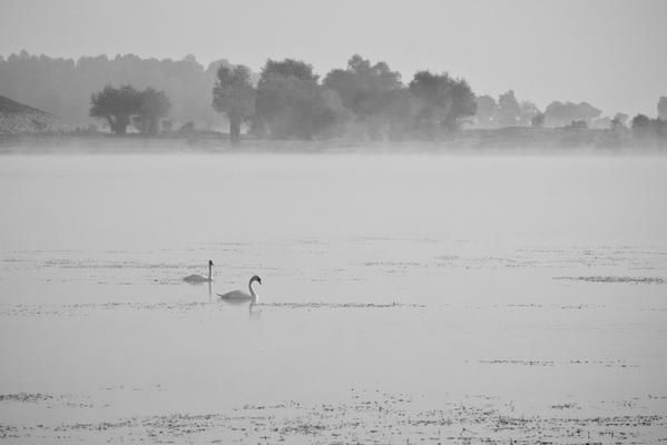 Paysages de l'Aube et autres