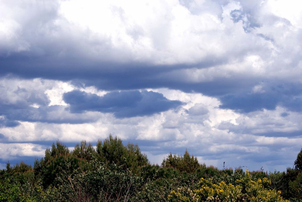 Tous vus de chez moi !! Ciels, soleils, lunes, nuages...