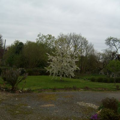 DE RETOUR, DESOLE POUR MON ABSENCE...