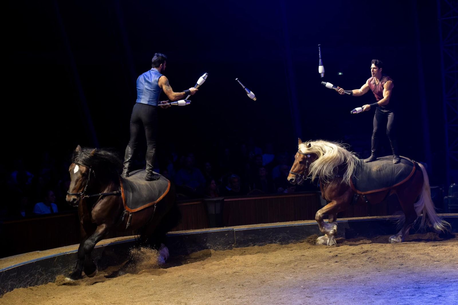 Folies Gruss retour Paris octobre mars pour compagnie Alexis